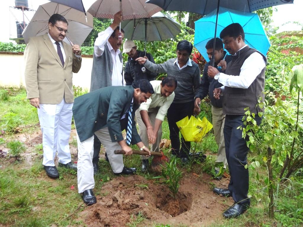 ನೆಮ್ಮದಿಯ ಬದುಕಿಗೆ ಪರಿಸರದ ಸಮತೋಲನ ಮುಖ್ಯ: ಆರ್.ಕೆ.ಎಂ.ಎಂ.ಮಹಾಸ್ವಾಮೀಜಿ